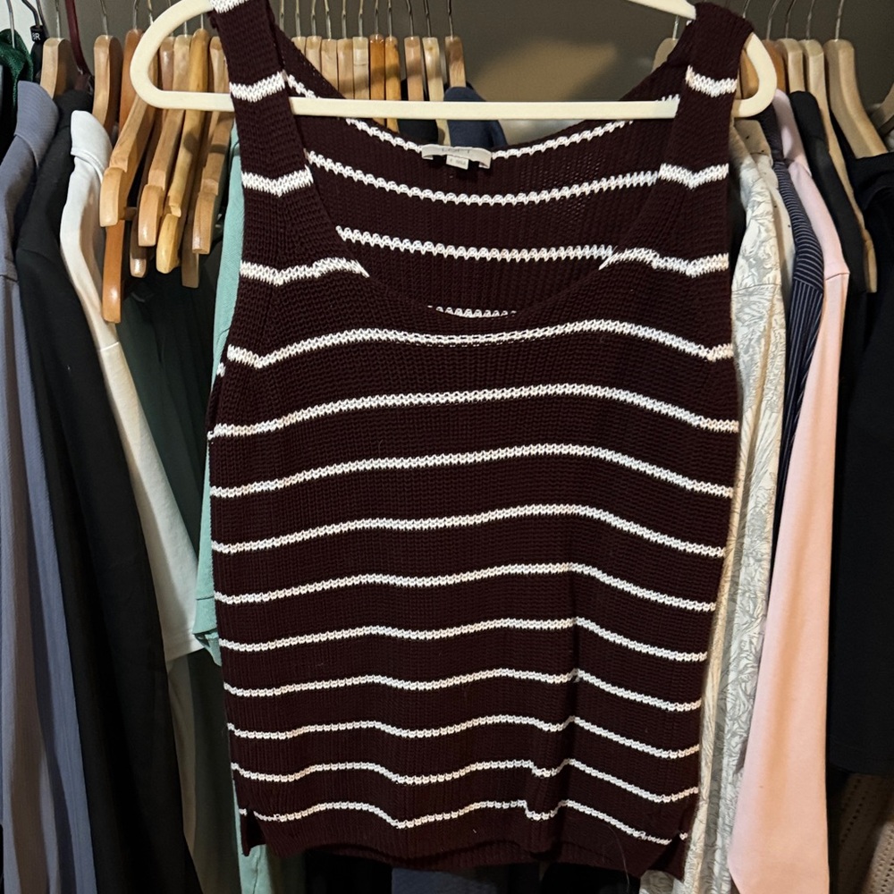 LOFT Burgundy and White Striped Tank Top